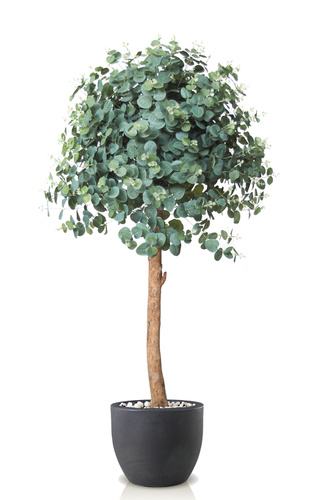 Eucalyptus Sculpture 140 cm Green